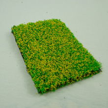model trees